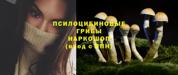 трава Абаза