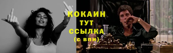 трава Абаза
