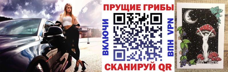 Псилоцибиновые грибы прущие грибы  купить наркотики сайты  Зарайск 